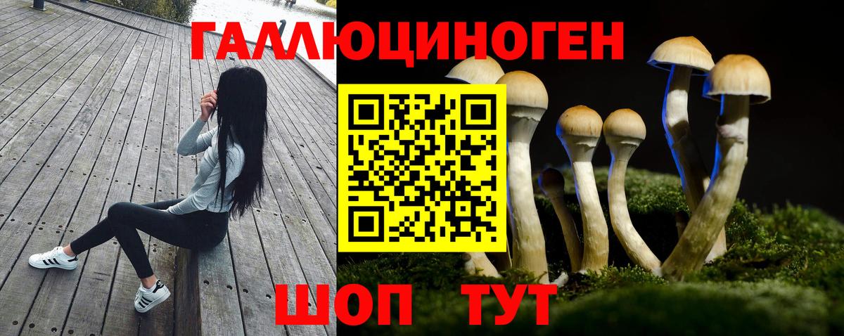 Минеральные Воды  Псилоцибиновые грибы Magic Shrooms  Вход с VPN 